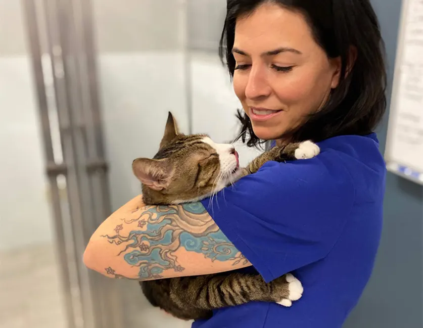 Mobile Expert Side Image