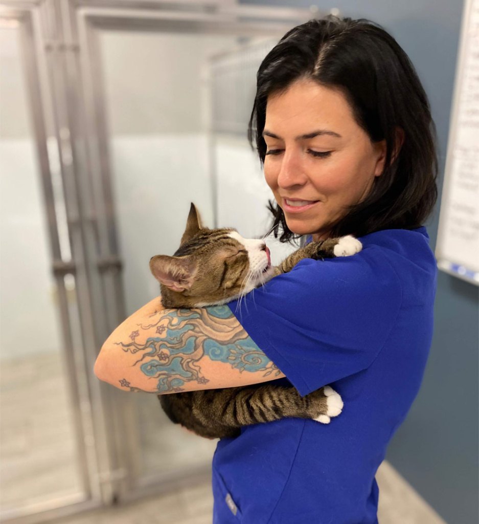 InHome Pet Euthanasia Tucson, AZ Desert Paws Mobile Vet Care