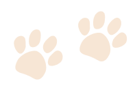 two-paws-icon-image