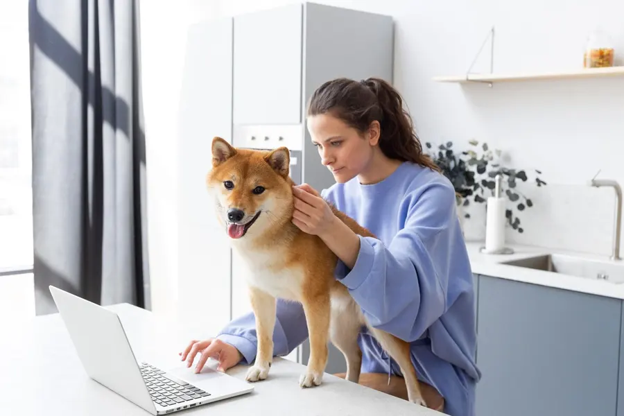 Schedule Your Pet’s At-Home Allergy Exam