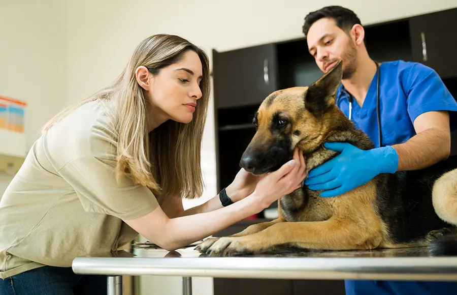 Mobile Care That Comes to You Image