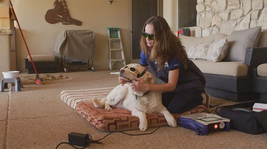 In-Home Laser Therapy & Post-Procedure Support for Tucson Pets