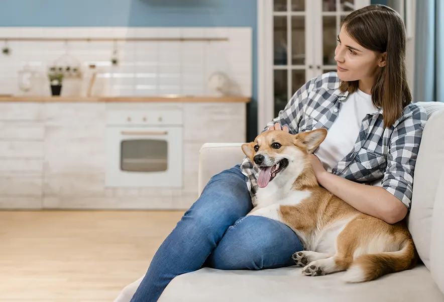 Keeping Pets Comfortable With Fear Free™ Mobile Care