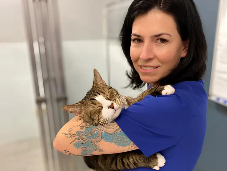 Find Balance, Purpose, and Joy in Veterinary Medicine