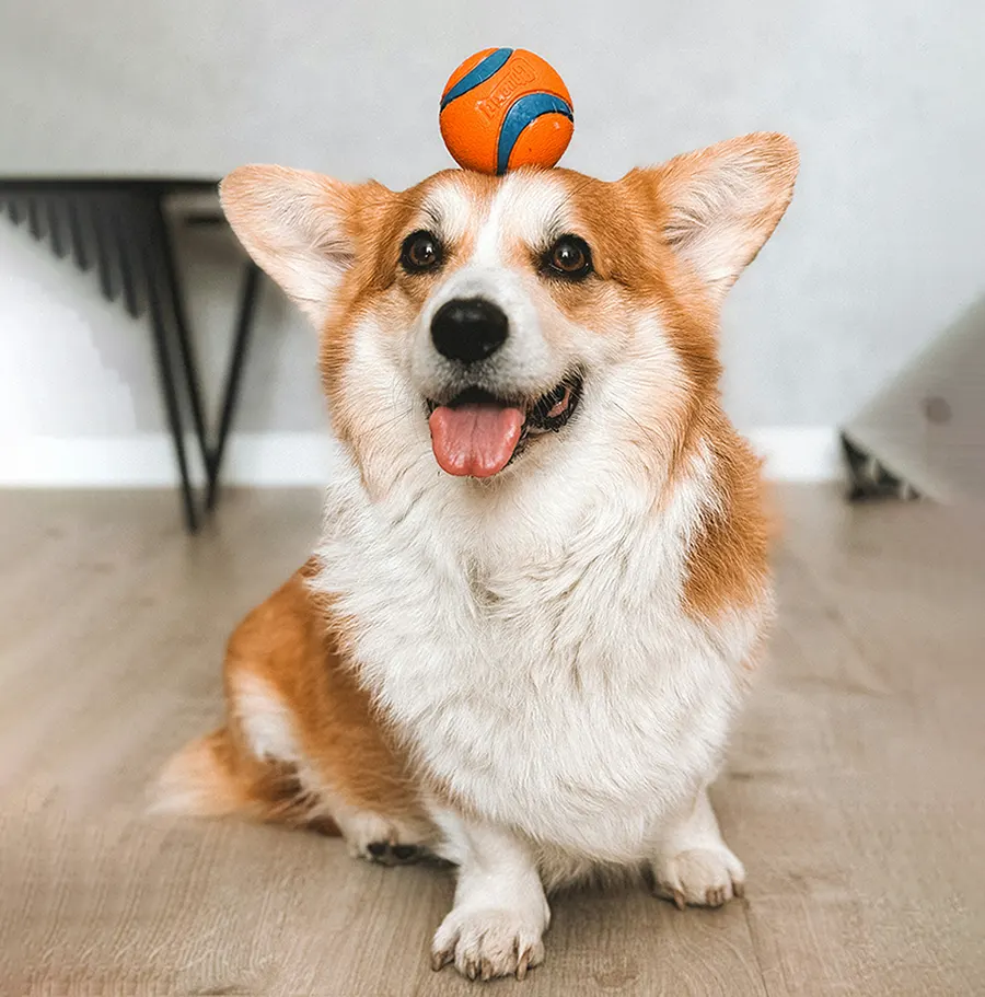 In Clinic Prescription Refill