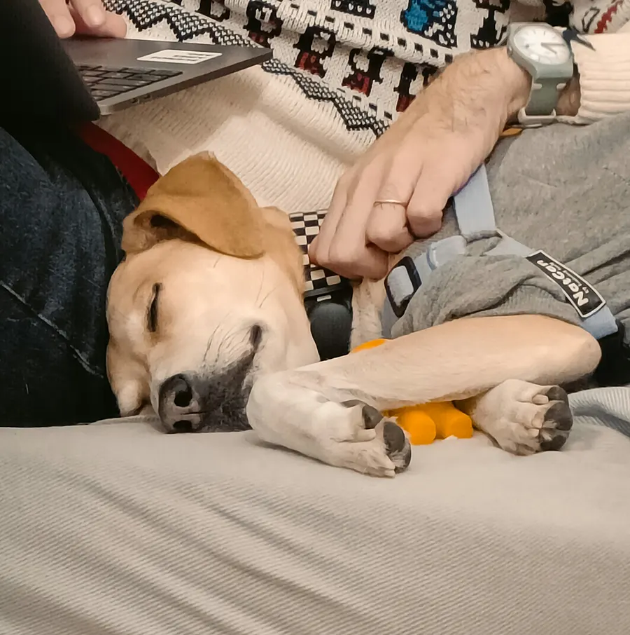 Sick Visits Banner Image