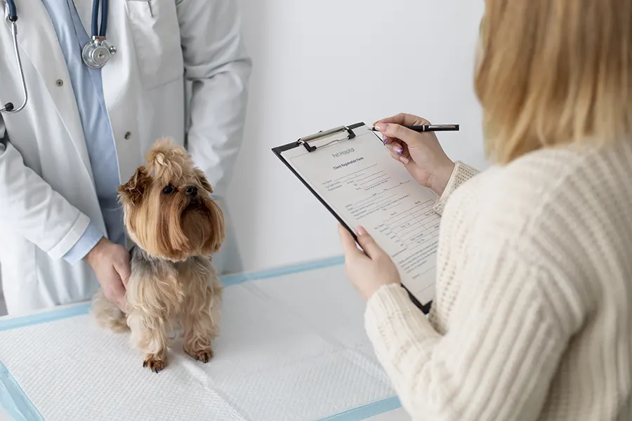 Routine Checkups & Proactive Pet Care