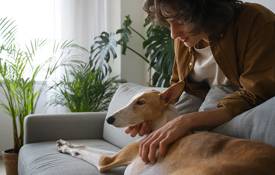 What Happens at a Home Wellness Visit?