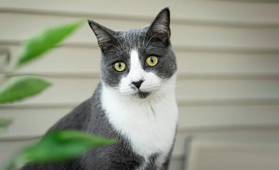 A Smarter Approach to Preventative Care