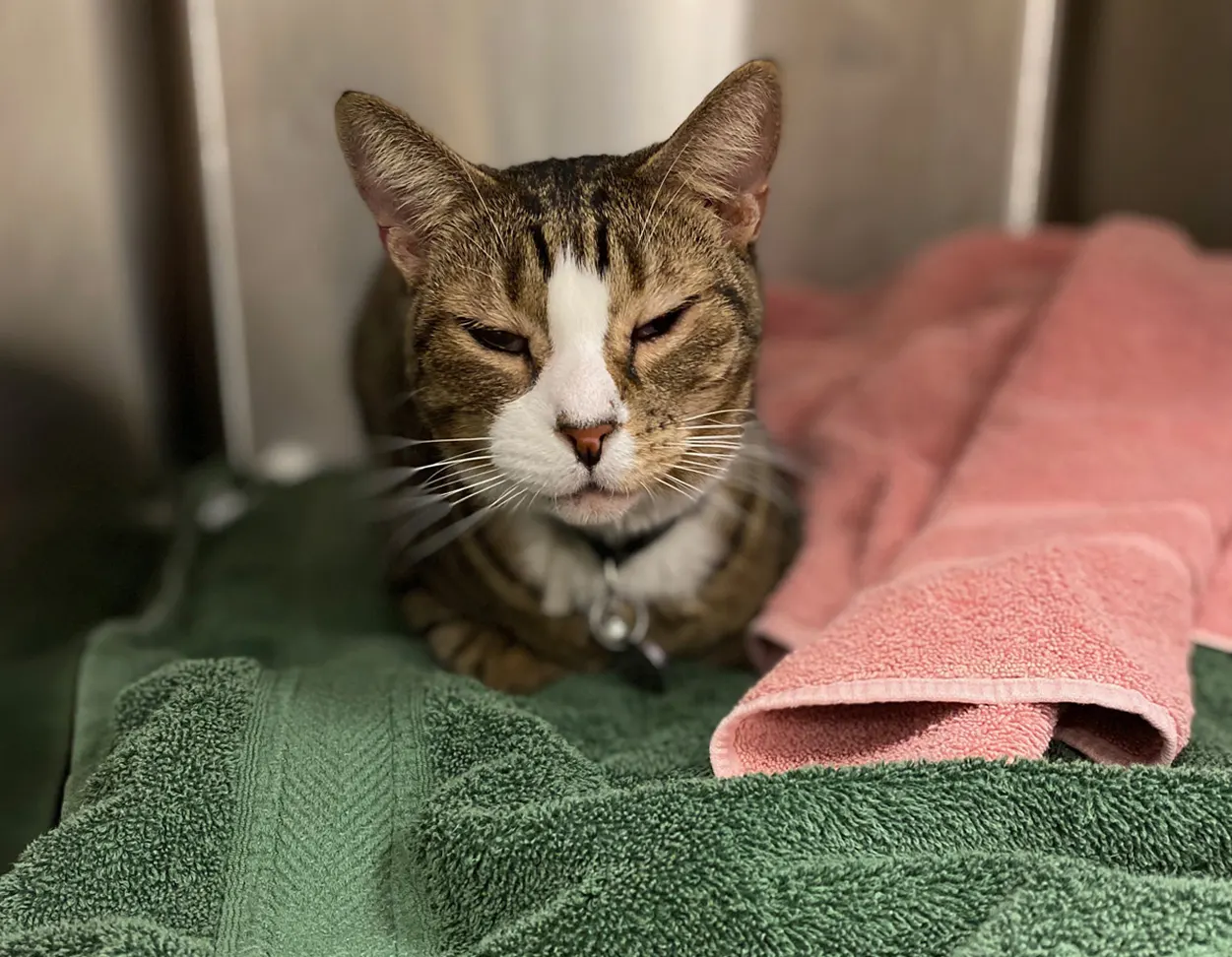 Before and During the Appointment