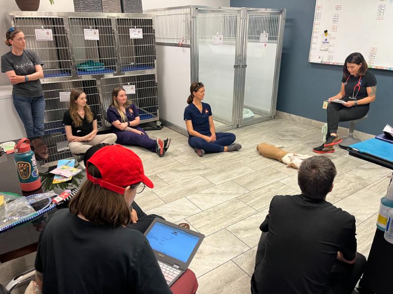 team-training team-training