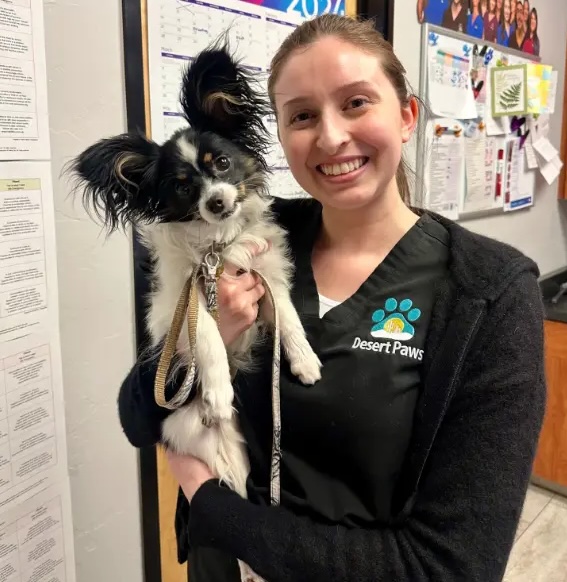 staff with dog patient