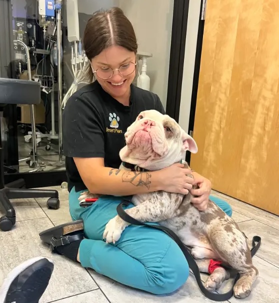 staff loving on pet patient