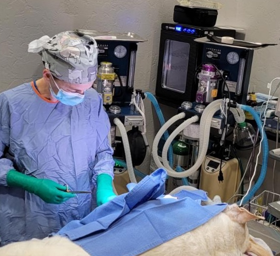 after surgery therapy prep