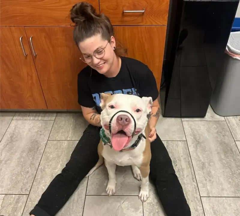 bria-with-pet-patient copy bria with pet dog