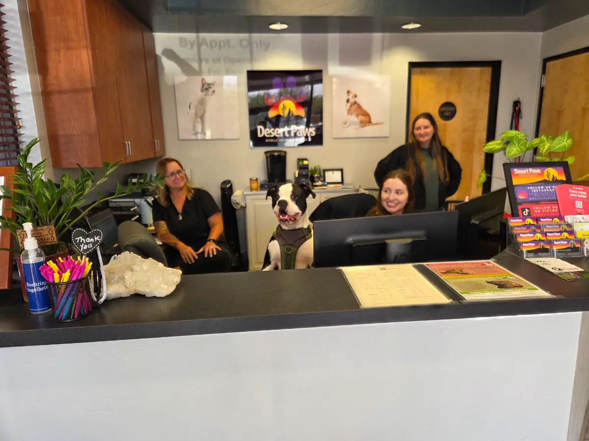 welcome to front desk of desert paws