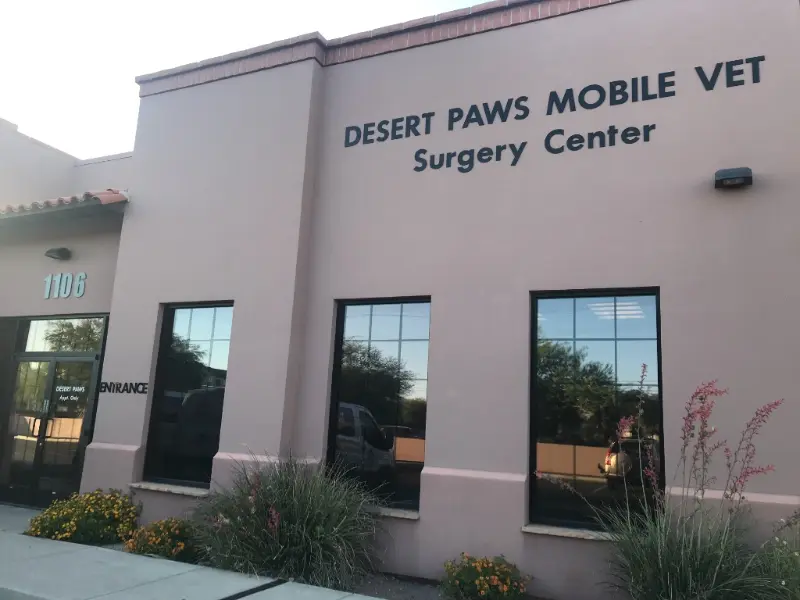 desert-paws-surgery-center