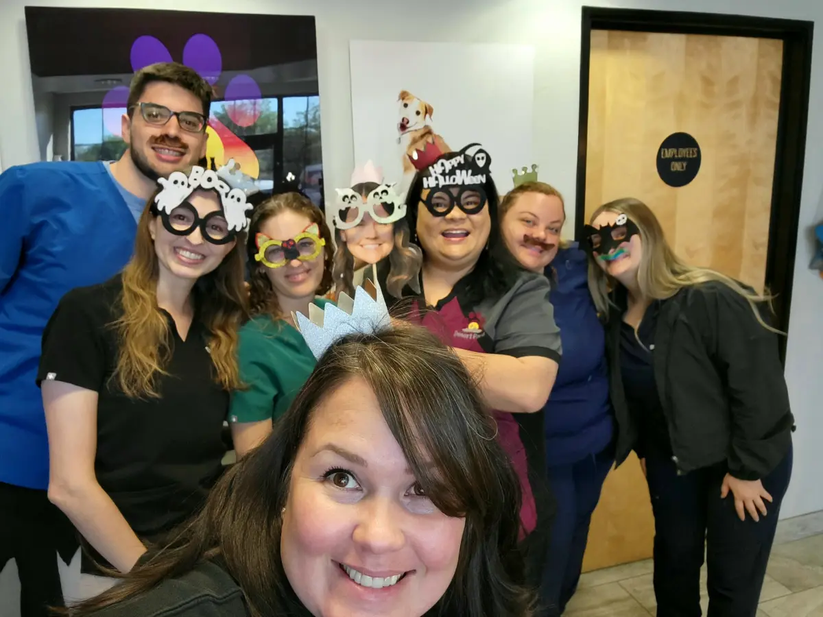 desert-paws-team desert paws team photo