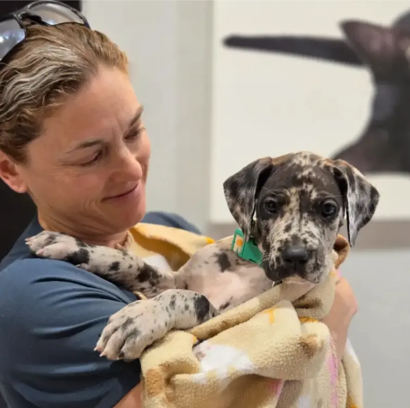 dr-cameron-with-pet-patient dr-cameron-with-pet-patient