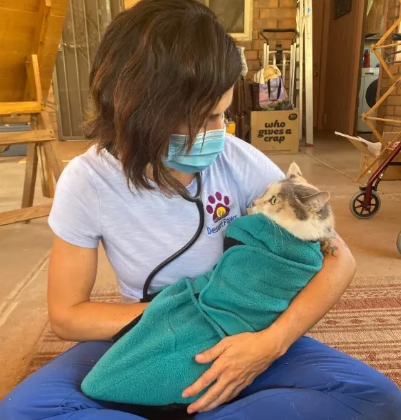 dr-martin-and-cat-patient copy