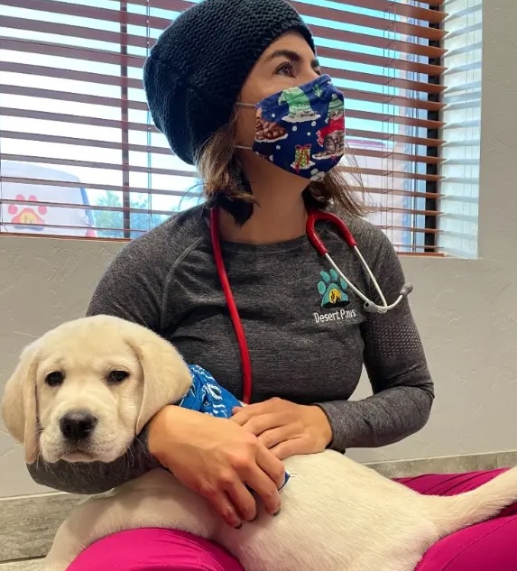 dr-martin-with-dog-patient patient ready for vaccines