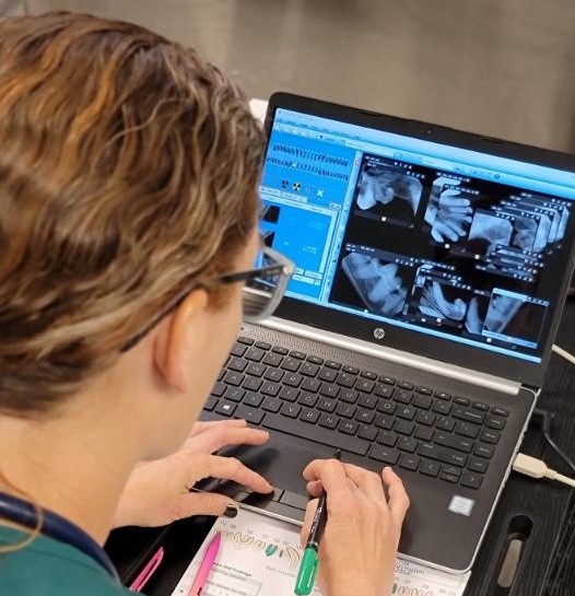 dr stacey-checking-records dr.stacey checking labs
