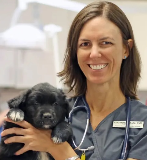 dr.hartle-and-pet