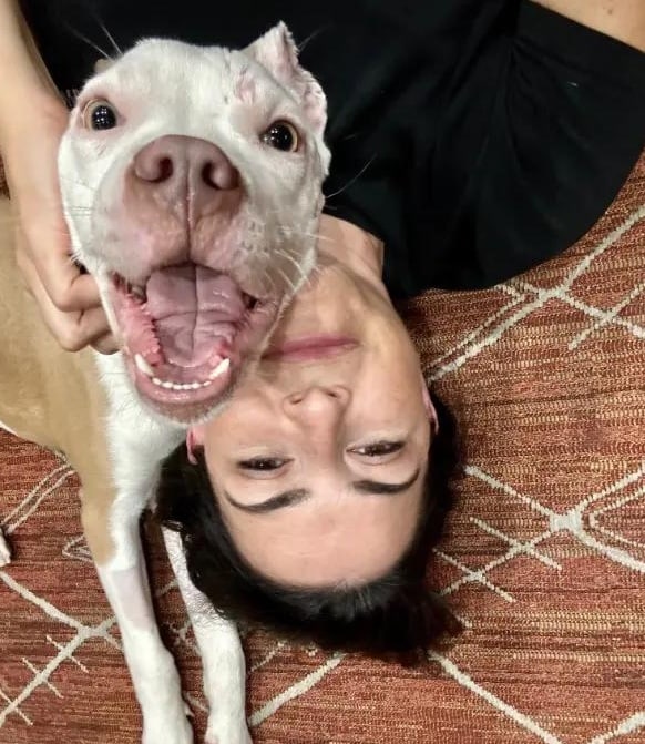 drmartin-and-dog dr.martin comes to you for pet allergy apts