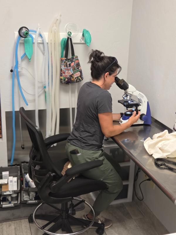 drmartin-looking-at-labs dr.martin checking labs