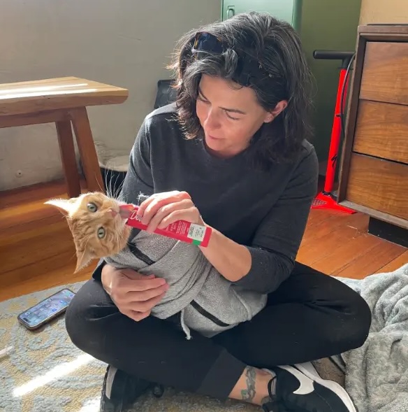 pet-emergency dr.martin treating sick cat