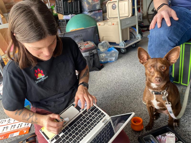 pet prepping for laser therapy apt