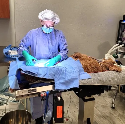 stacey-doing-surgery