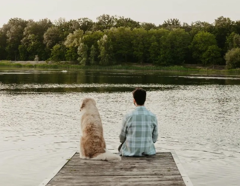 pet-best-friend copy