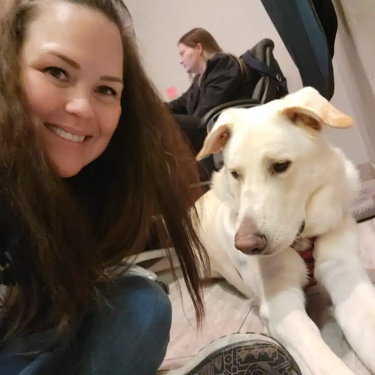 pet patient